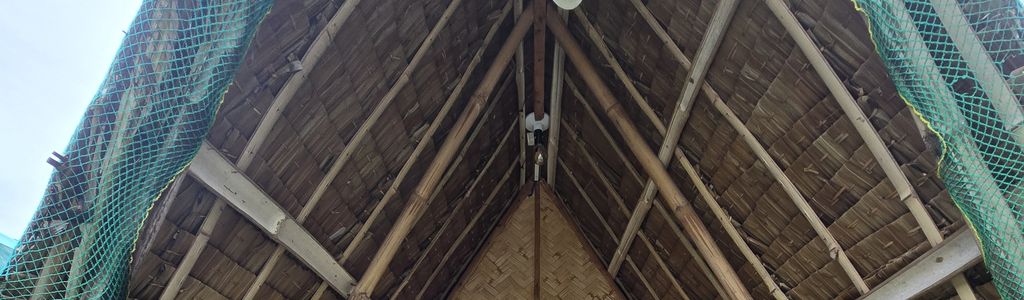 Profile Hero Background