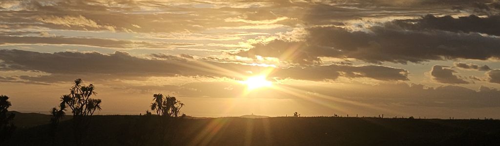 Profile Hero Background