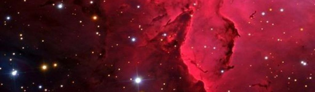 Profile Hero Background