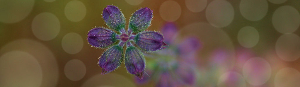 Profile Hero Background