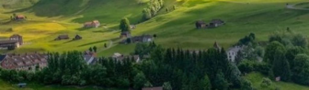 Profile Hero Background