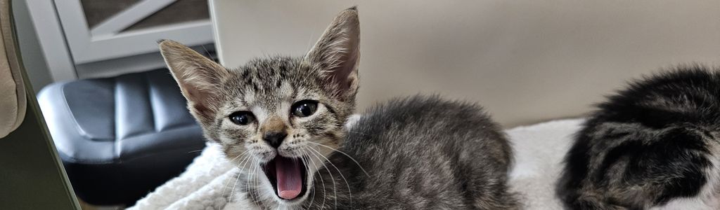 Profile Hero Background