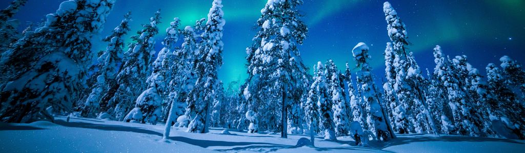 Profile Hero Background