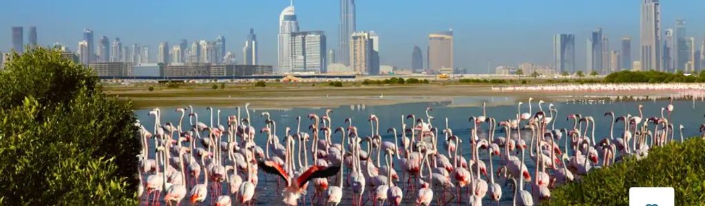 Profile Hero Background