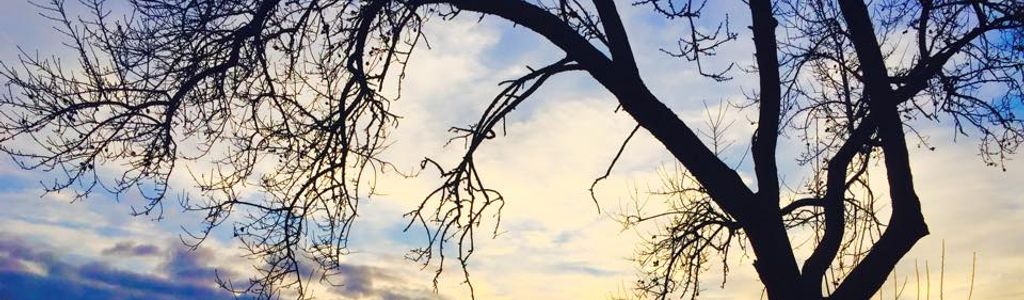 Profile Hero Background