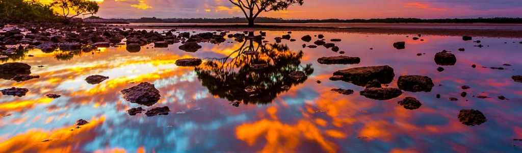 Profile Hero Background