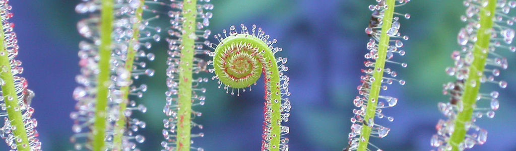 Profile Hero Background