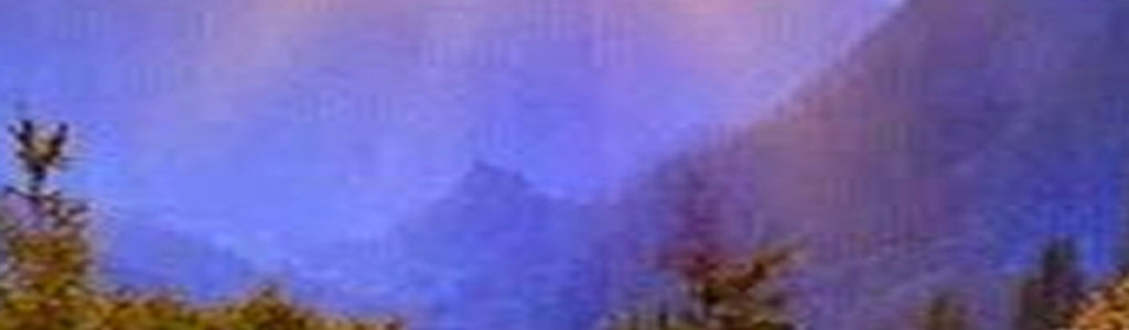 Profile Hero Background