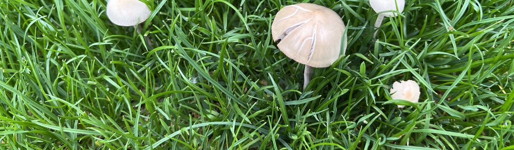 Profile Hero Background