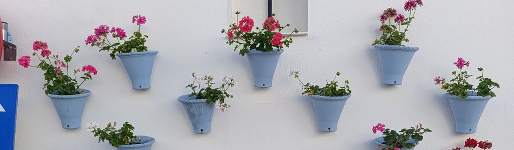 Profile Hero Background