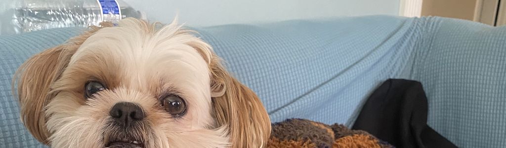 Profile Hero Background