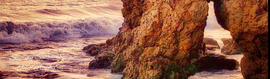 Profile Hero Background