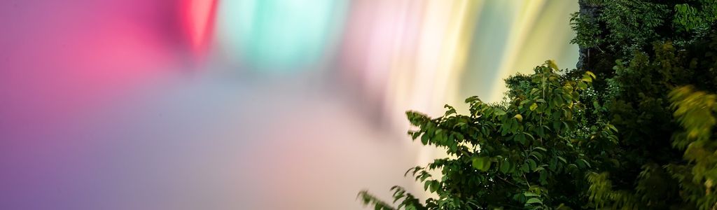 Profile Hero Background