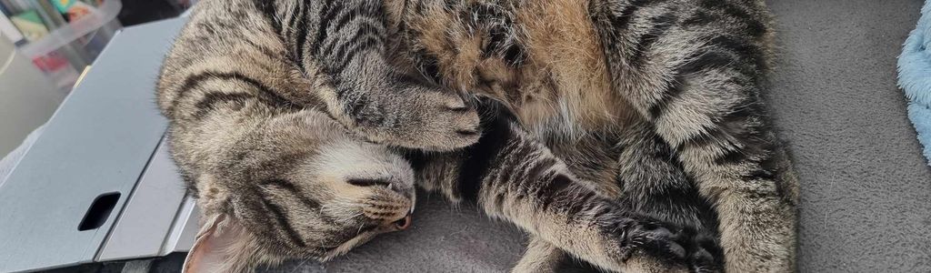 Profile Hero Background