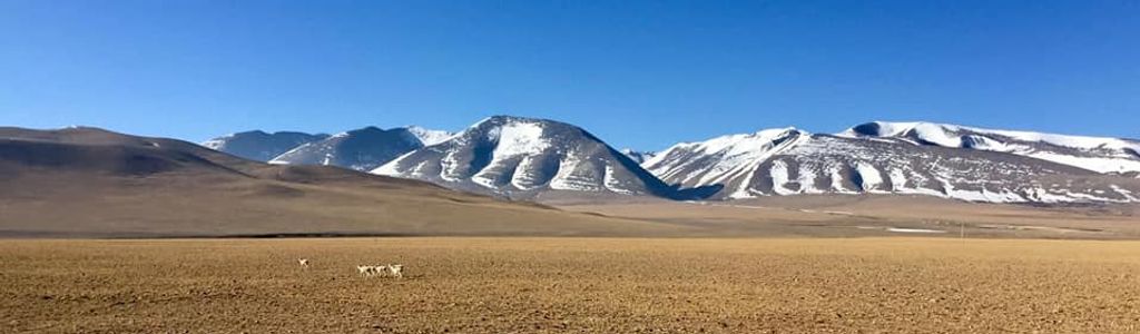 Profile Hero Background