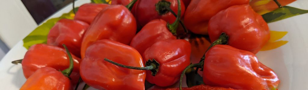 Profile Hero Background