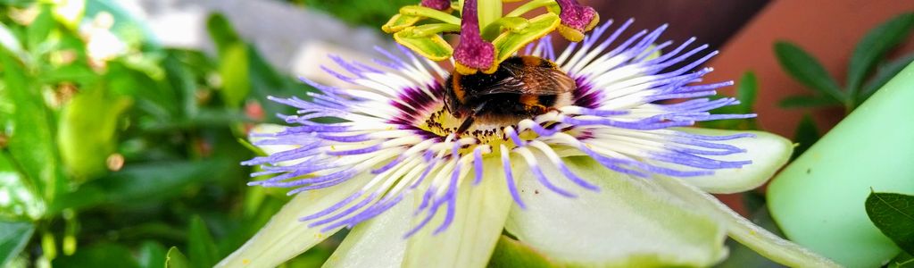 Profile Hero Background