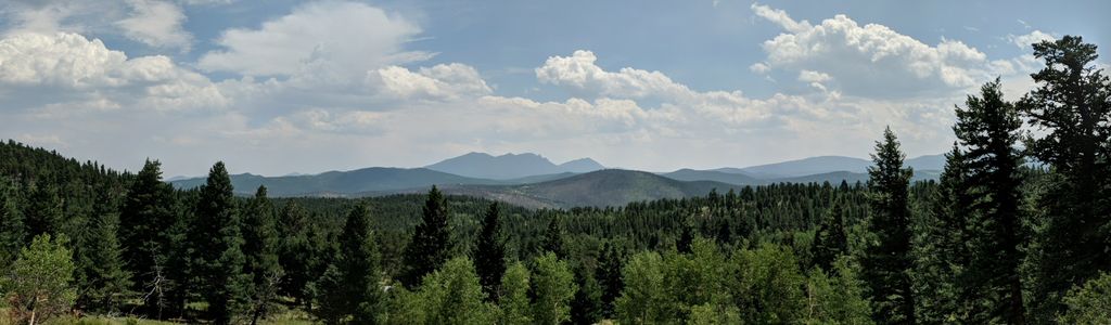 Profile Hero Background