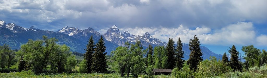 Profile Hero Background