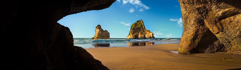 Profile Hero Background