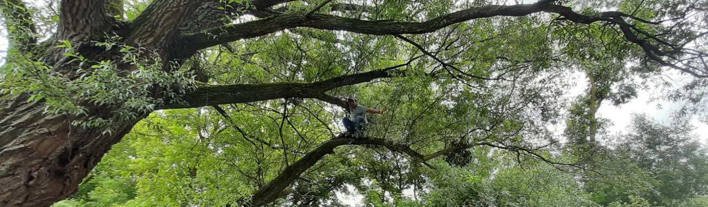 Profile Hero Background