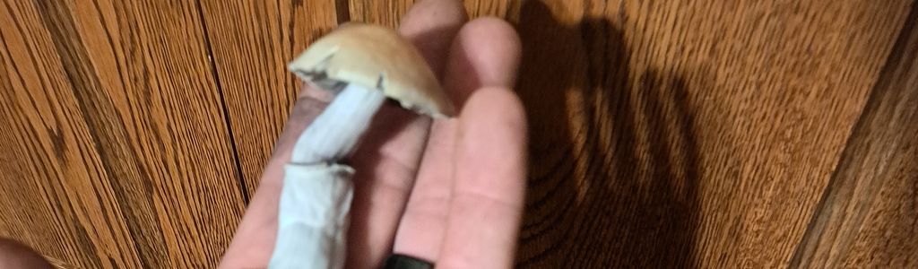 Profile Hero Background