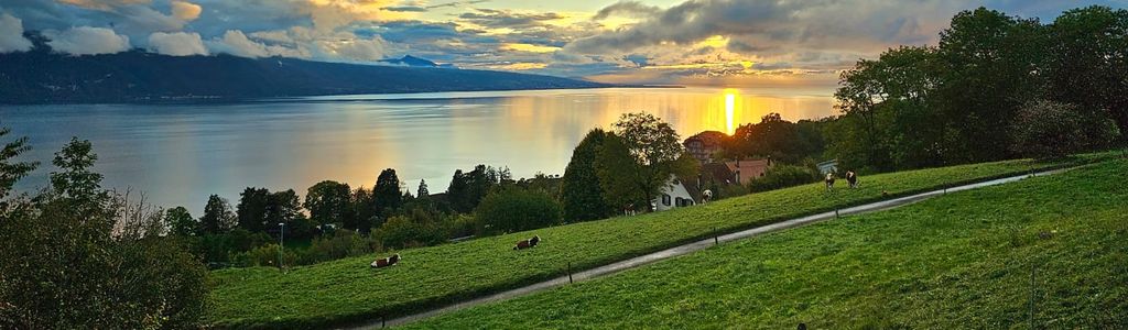 Profile Hero Background