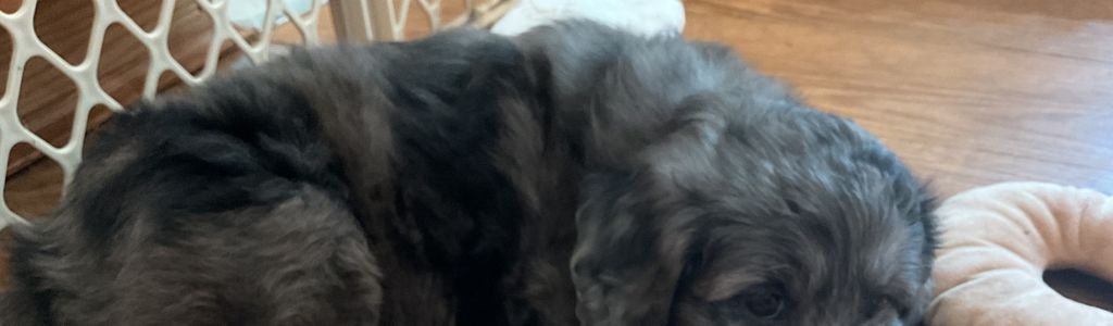 Profile Hero Background