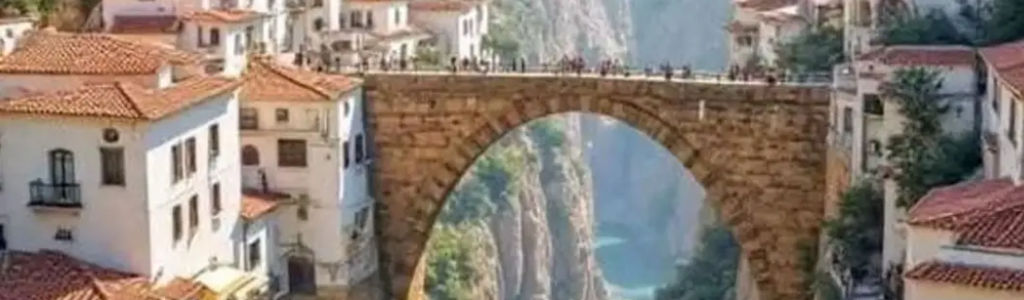 Profile Hero Background