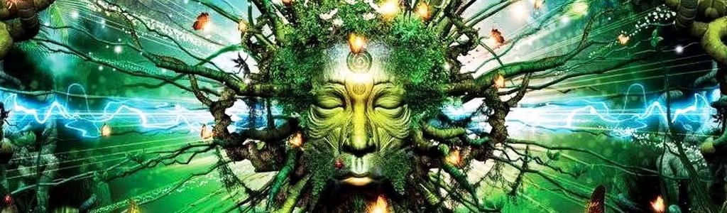 Profile Hero Background