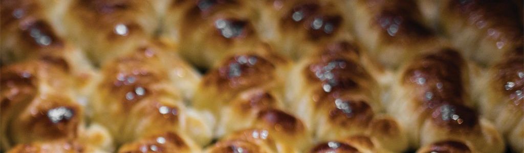 Profile Hero Background