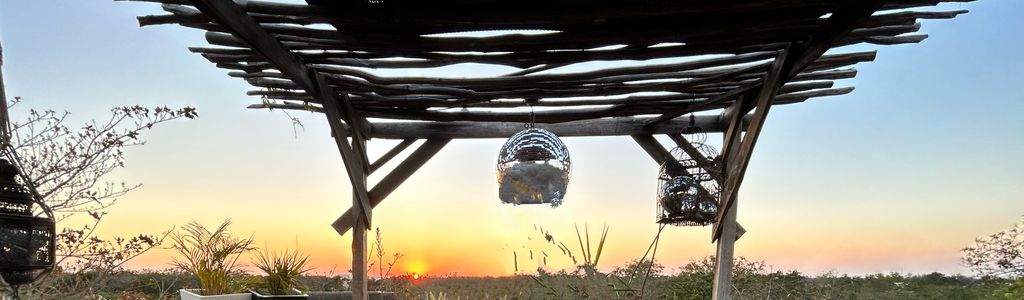 Profile Hero Background