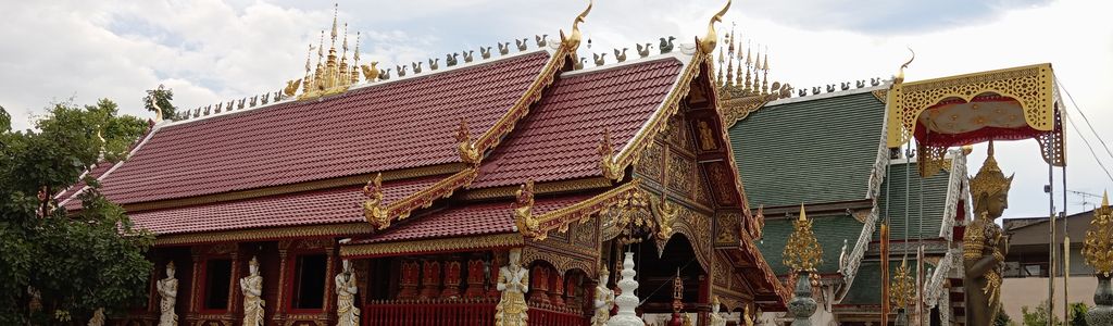 Profile Hero Background