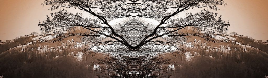 Profile Hero Background