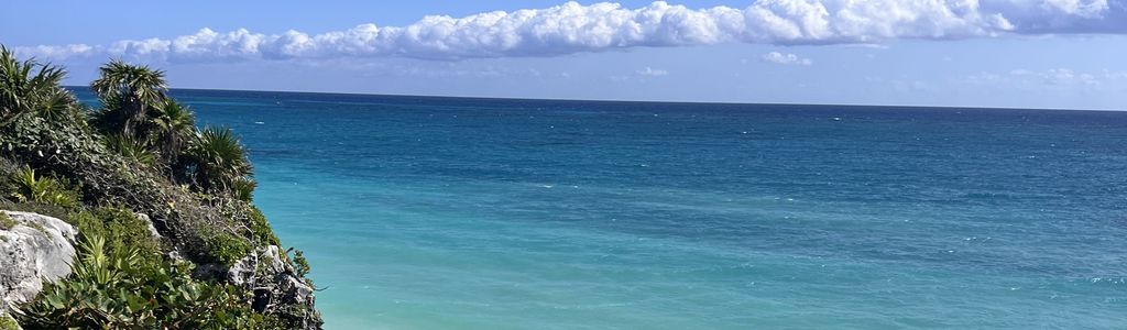 Profile Hero Background