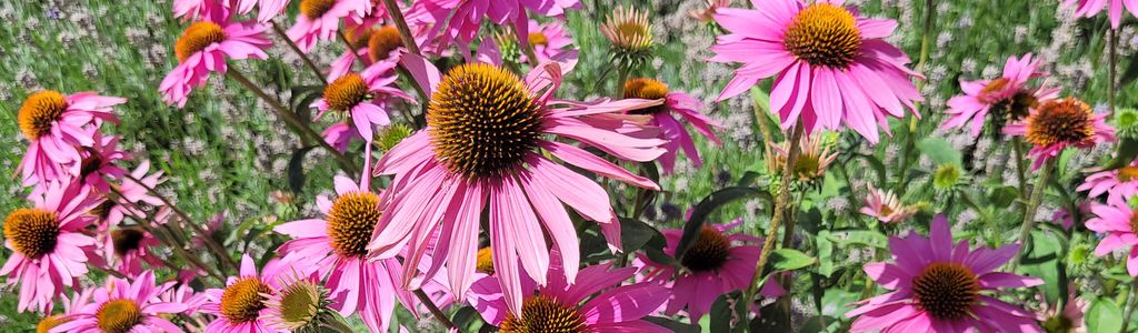 Profile Hero Background