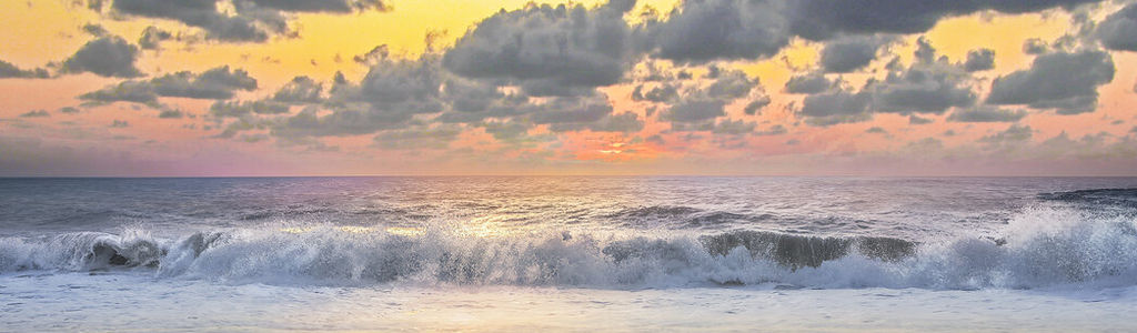 Profile Hero Background