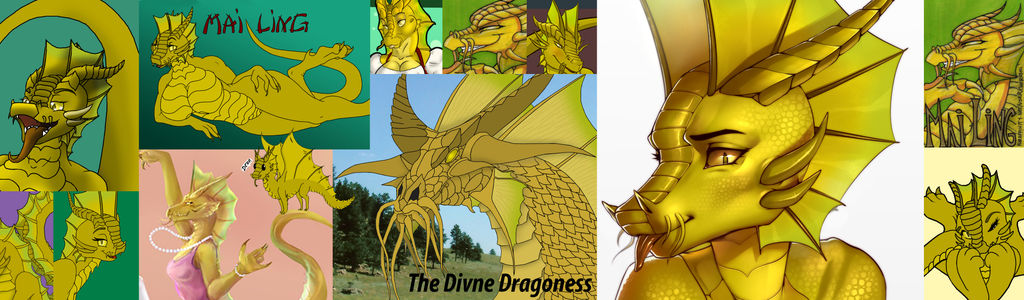 Profile Hero Background