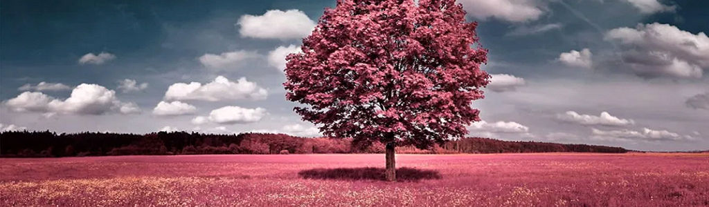 Profile Hero Background