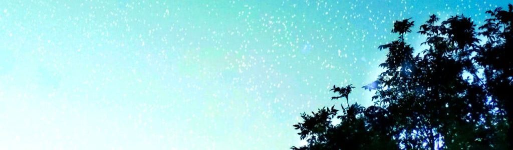 Profile Hero Background