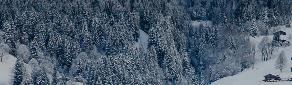 Profile Hero Background