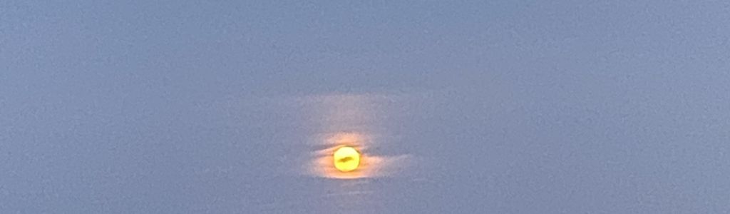 Profile Hero Background