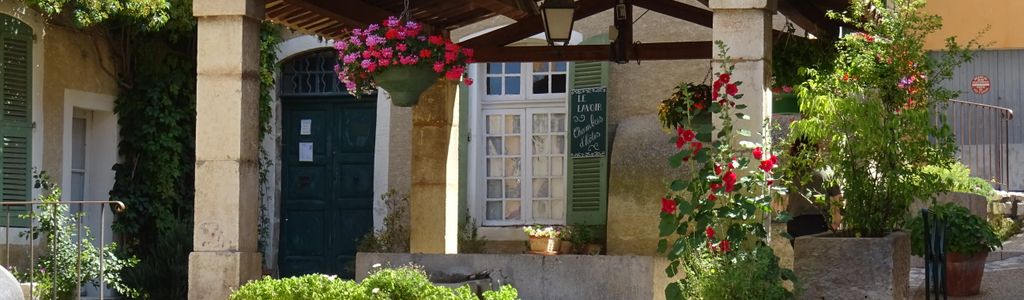 Profile Hero Background