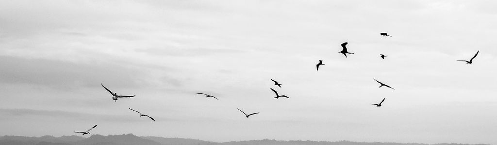 Profile Hero Background