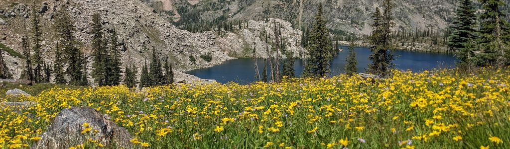 Profile Hero Background