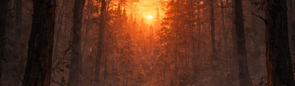 Profile Hero Background