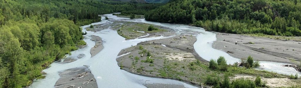 Profile Hero Background