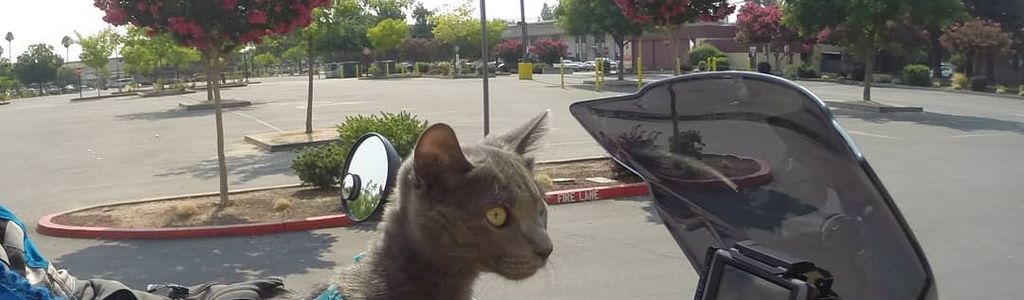 Profile Hero Background