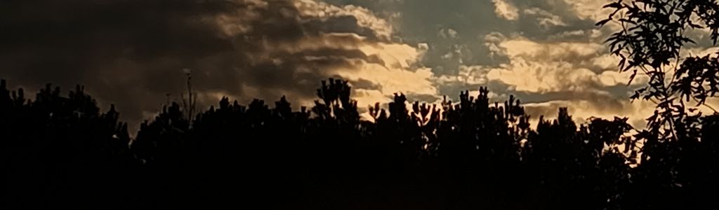 Profile Hero Background