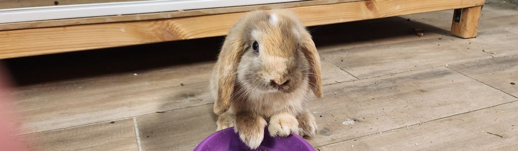 Profile Hero Background